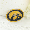 Iowa Crystal Logo Pin