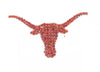 Texas Rhinestone Crystal Pin - Fan Sparkle